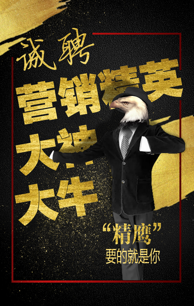 提供就业岗位1000多个 潍坊市奎文区2025年人才夜市招聘活动举办